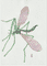 marsh-crane-fly-2025